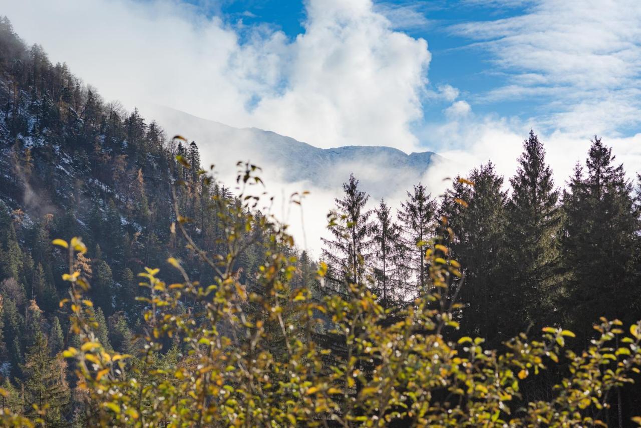 Chalets & Apartments Beim Waicher Ruhpolding Eksteriør bilde