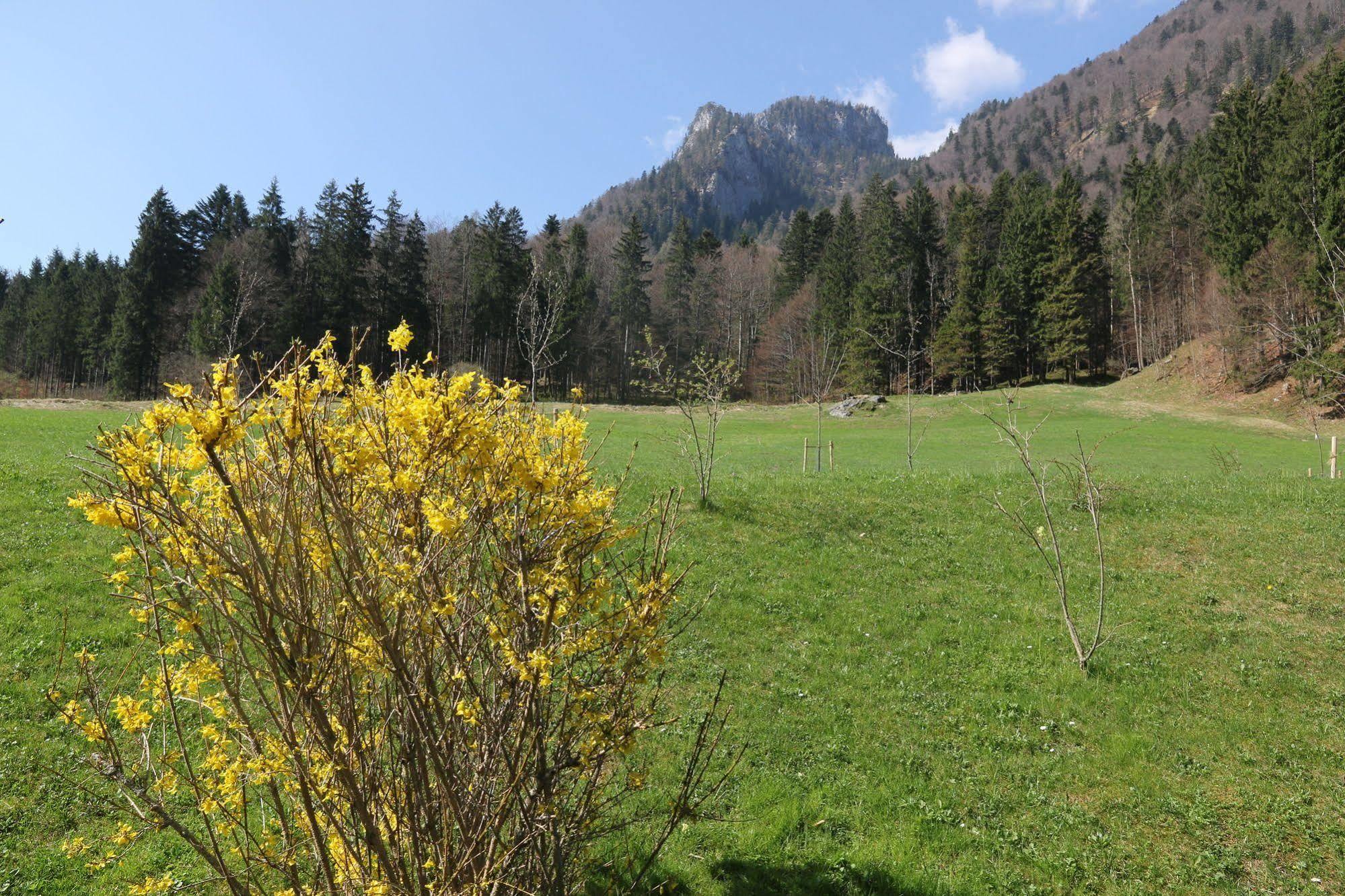 Chalets & Apartments Beim Waicher Ruhpolding Eksteriør bilde